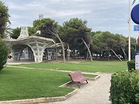 IMG_7953