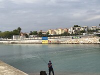 IMG_7954