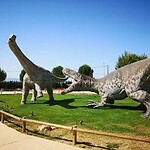 IMG_0446