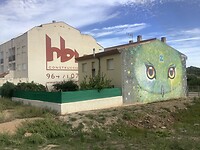 IMG_0498