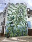 IMG_0496