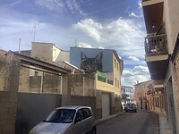 IMG_0495