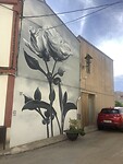 IMG_0492