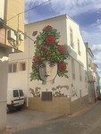 IMG_0491