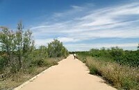 IMG_0515