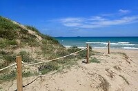 IMG_0514