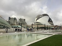 IMG_0523