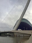 IMG_0519
