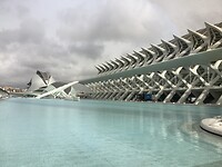 IMG_0518