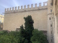 IMG_0530