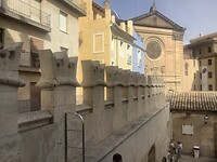 IMG_0529