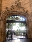 IMG_0527