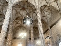 IMG_0526