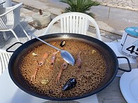 IMG_8037