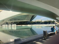 IMG_0539