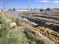 IMG_0550