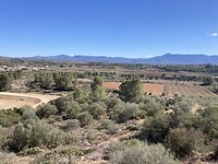 IMG_8046