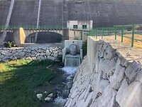 IMG_0560