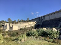 IMG_0559