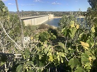 IMG_0558