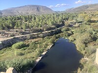 IMG_0554