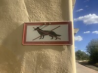 IMG_0569