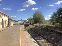 IMG_0570