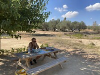 IMG_8082