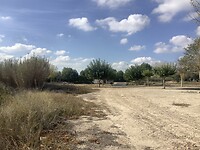 IMG_0578
