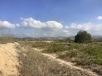 IMG_0577