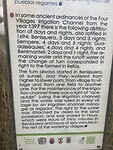 IMG_0586