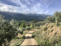 IMG_0602