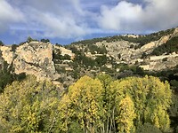 IMG_0603