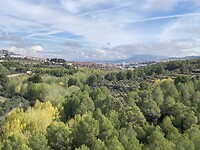 IMG_8099