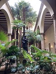 IMG_8142
