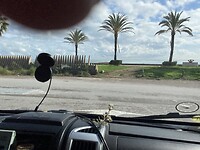 IMG_8153