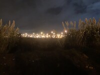 IMG_8164