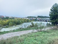 IMG_8201