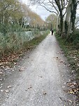 IMG_8282