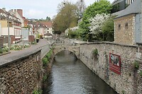 IMG_1127