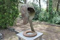 IMG_1161