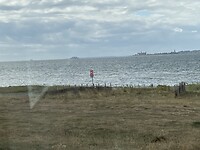 IMG_8981