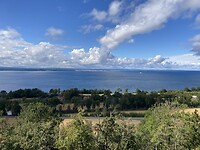 IMG_9005