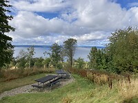 IMG_8998