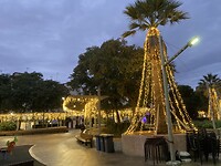 Vanaf 1 dec