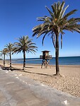Strandleven