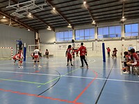 Volleybal