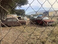 Alfa en Mercedes