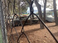 Wolseley en Mercedes