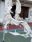 Stormschade